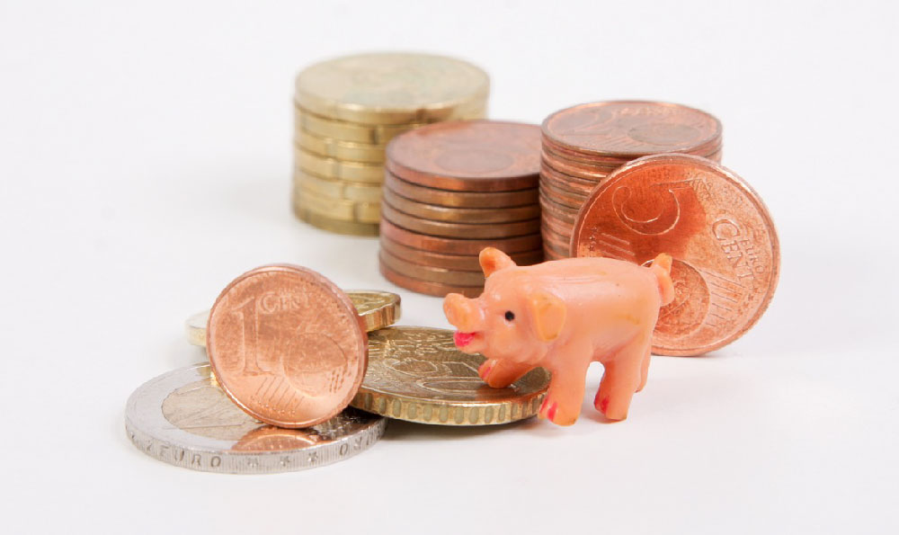 Venture Capital: How to Invest and Is it Right for You?
