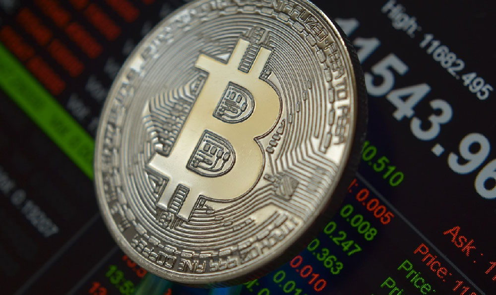 How Much Can RollKall Earn You? What's the Potential Income?
