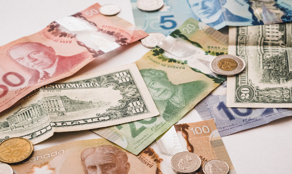 How Much Do Vets Earn Annually? What's the Average Veterinarian Salary?
